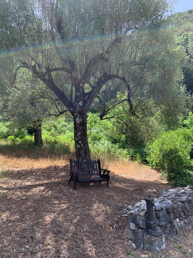 I Suoni Di Valle Martina Poderia Exteriér fotografie
